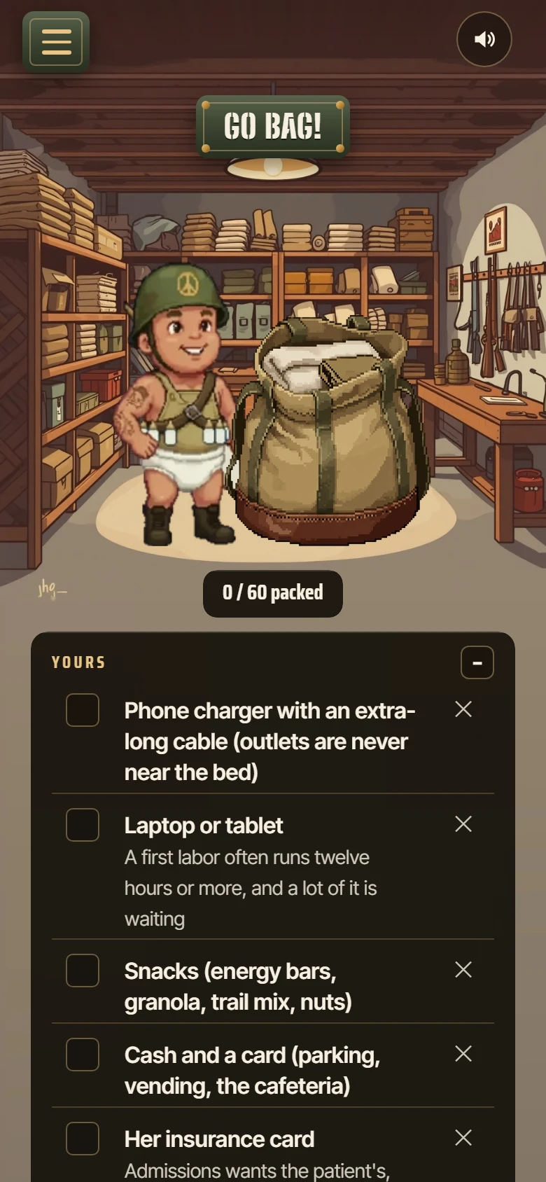 The go bag: the armory, with a fifty-item hospital bag checklist
