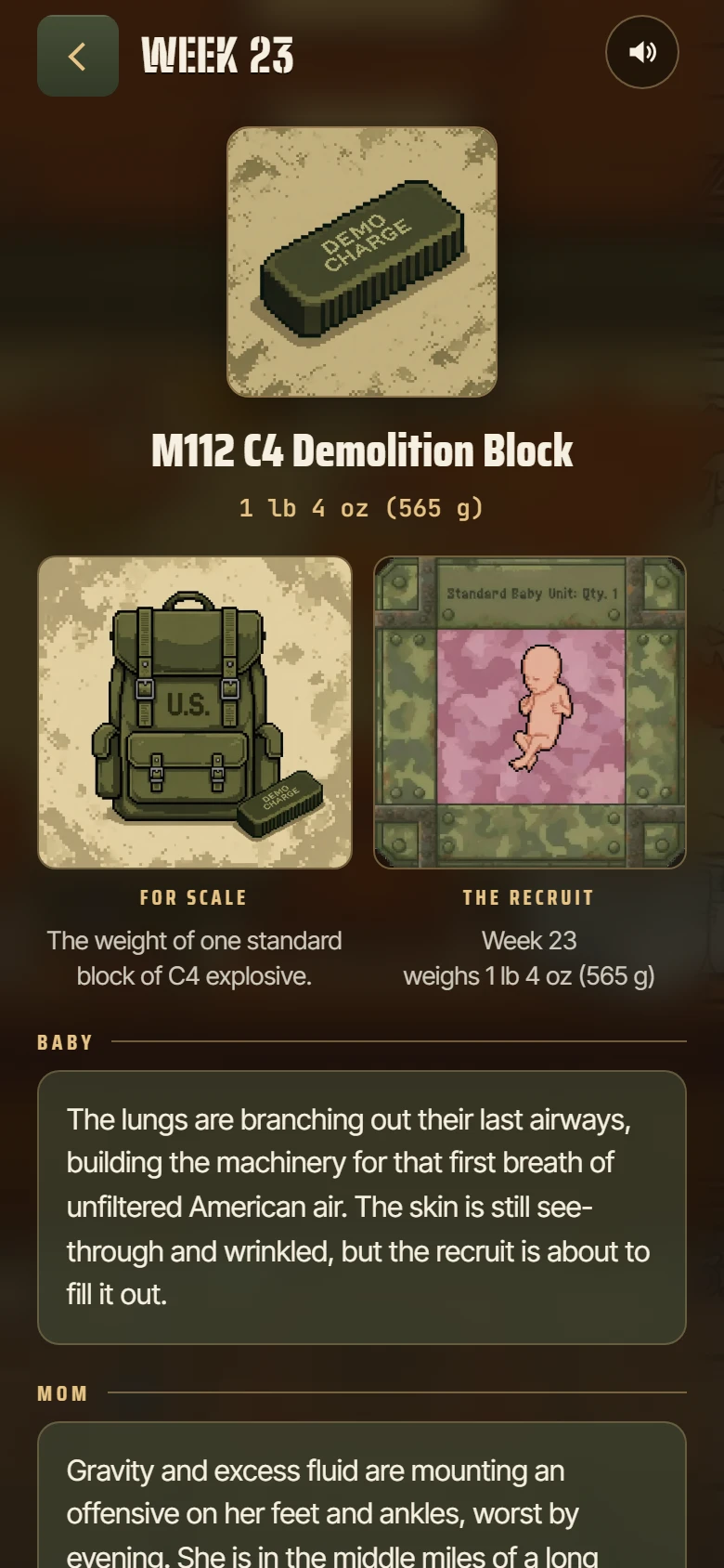 The week 23 report: the M112 C4 demolition block at 1 lb 4 oz, shown for scale beside the baby, with sections for baby, mom and you